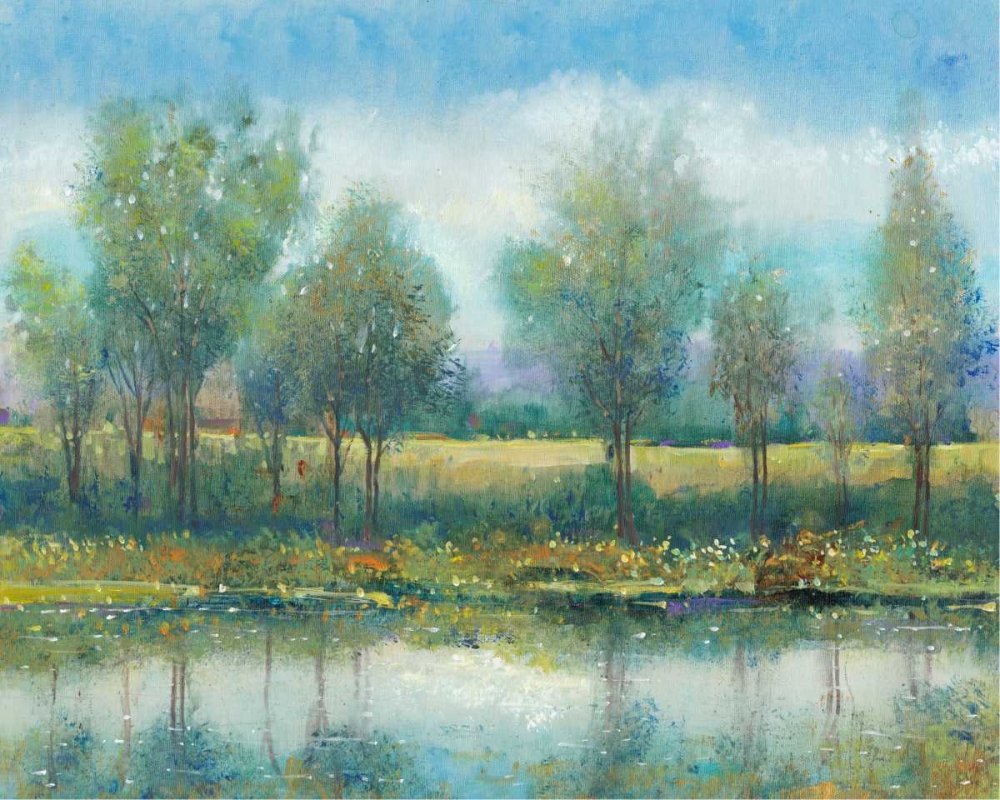 Wall Art Painting id:183803, Name: River Reflection II, Artist: OToole, Tim