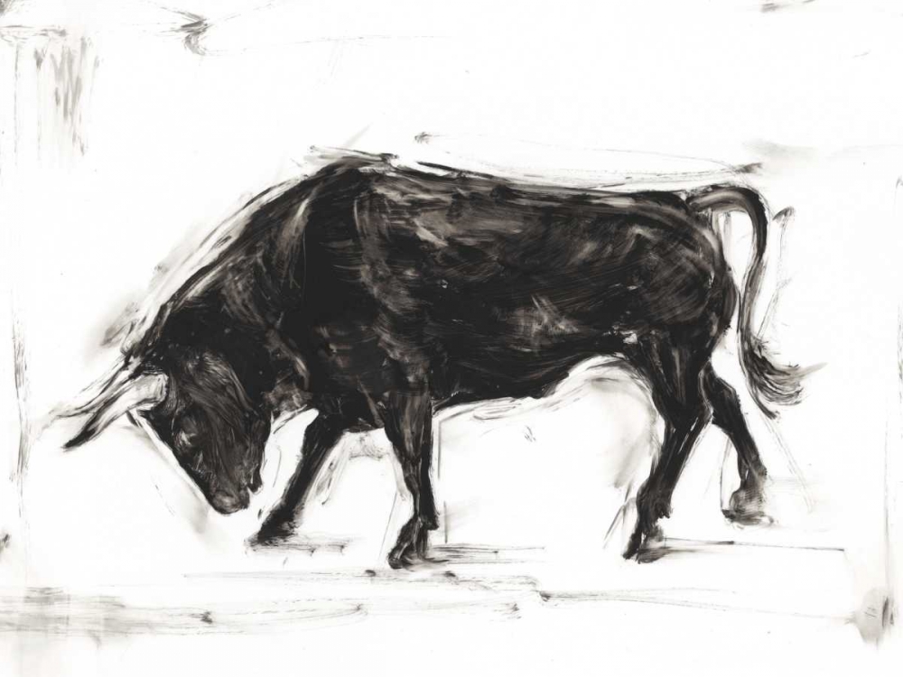 Wall art: Toro I, by Harper, Ethan