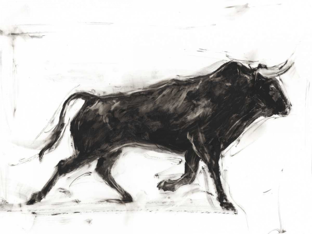 Wall art: Toro II, by Harper, Ethan