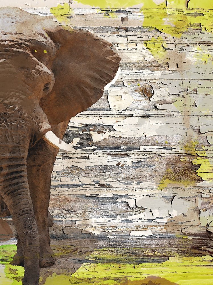 Art Print: The Elephant I