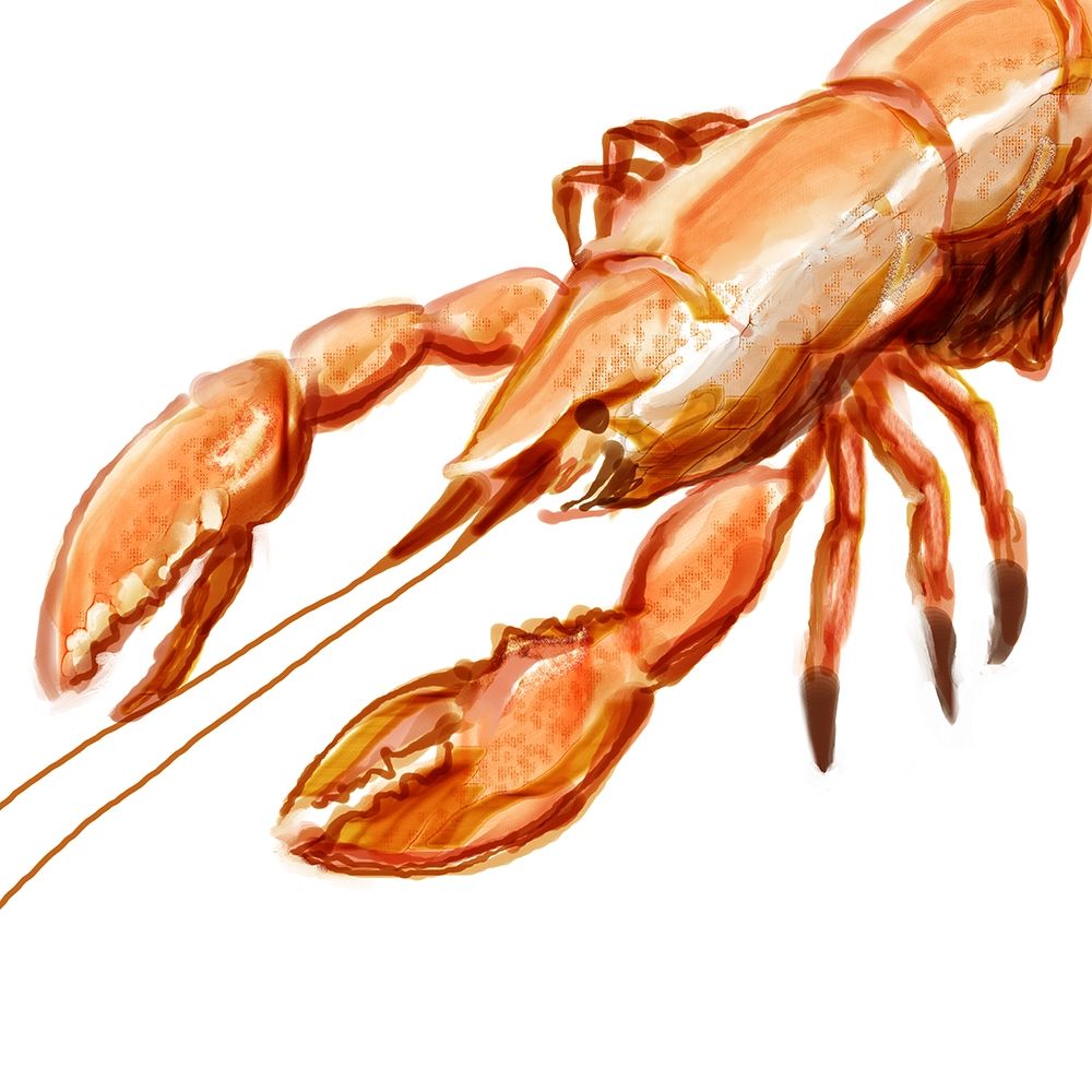Wall Art Painting id:196029, Name: Illustrated Lobster I, Artist: Novak, Rick