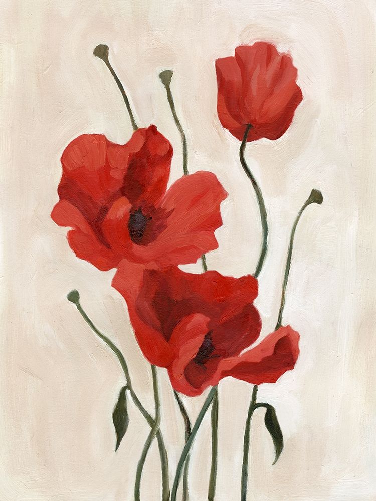 Wall Art Painting id:196157, Name: Poppy Bouquet II, Artist: Scarvey, Emma