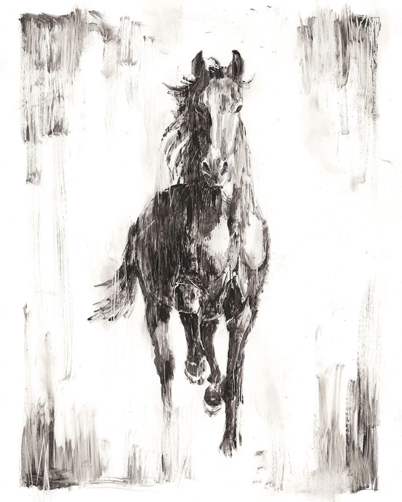 Wall art: Rustic Black Stallion I, by Harper, Ethan