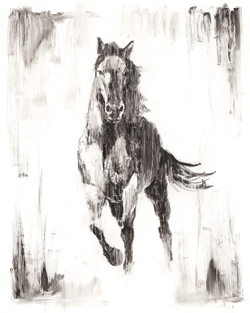Art Print: Rustic Black Stallion II
