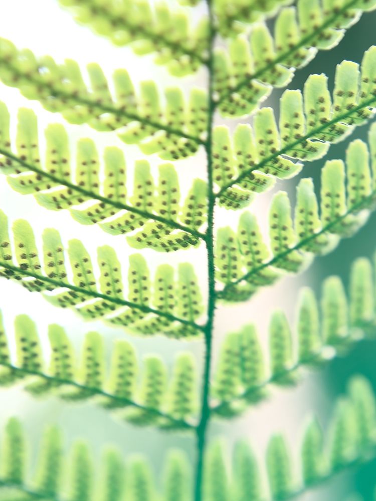 Similar wall art painting: 196178