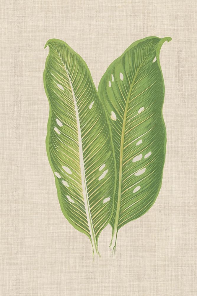 Wall Art Painting id:192420, Name: Leaves on Linen V, Artist: Unknown