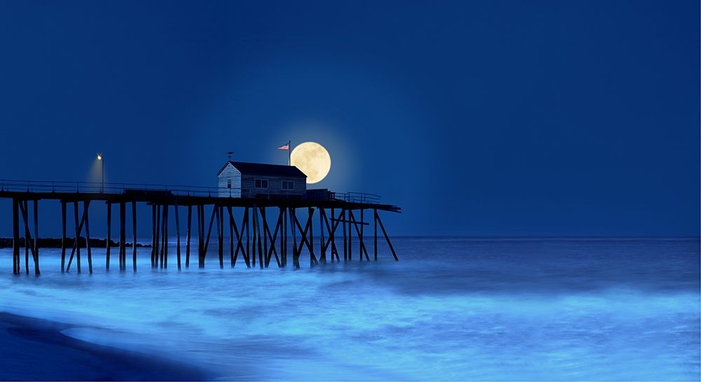 Wall art: Dusk and Water I, by McLoughlin, James