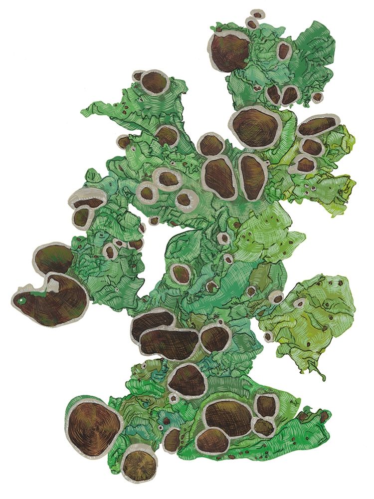 Similar wall art painting: 196518