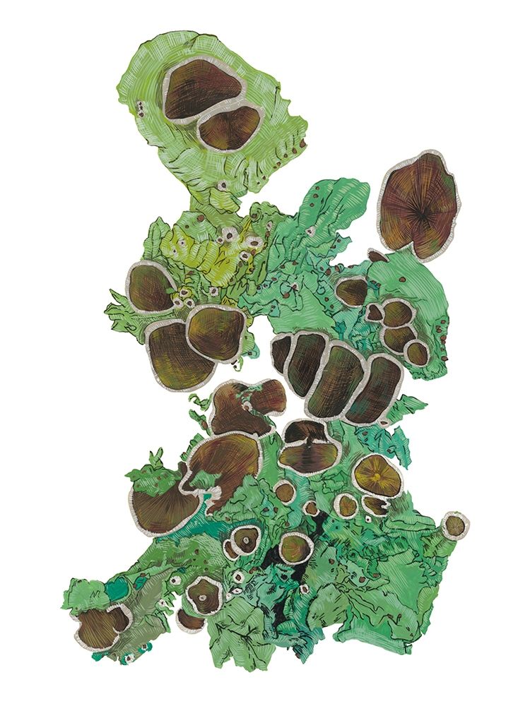 Similar wall art painting: 196519