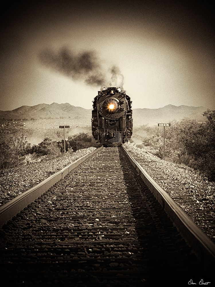 Art Print: Train Arrival II