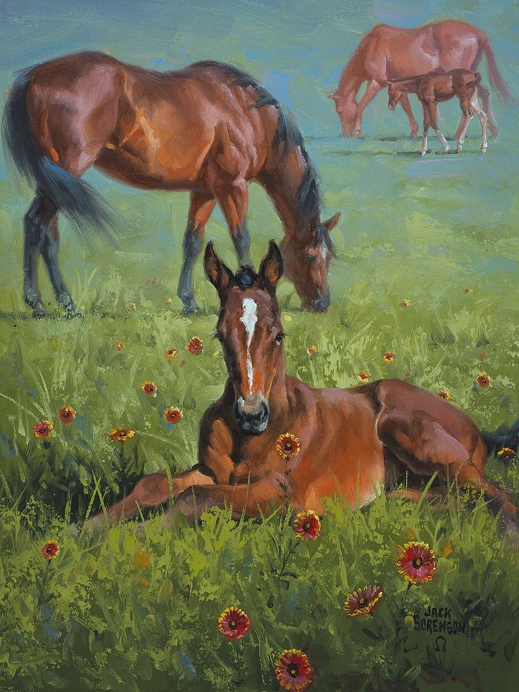 Art Print: Indian Blanket