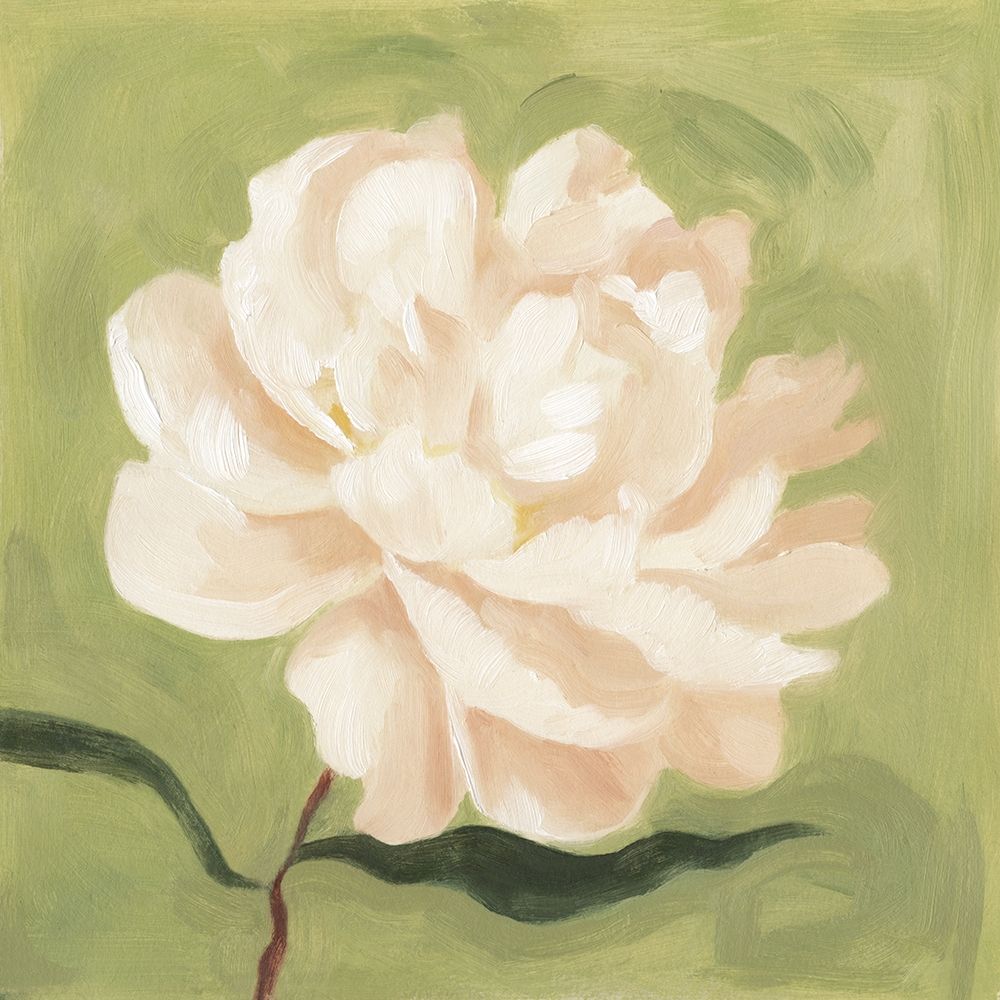 Wall Art Painting id:196830, Name: Peony on Olive I, Artist: Scarvey, Emma