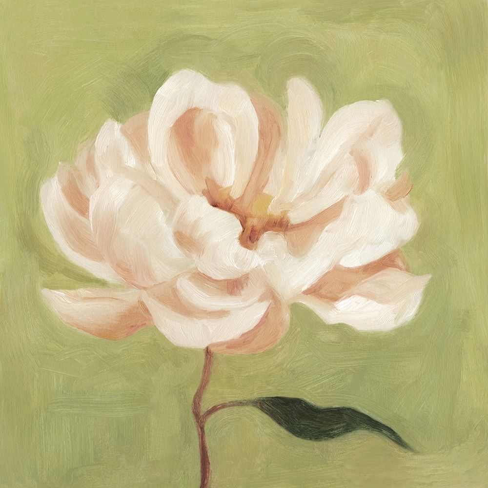 Wall Art Painting id:196831, Name: Peony on Olive II, Artist: Scarvey, Emma