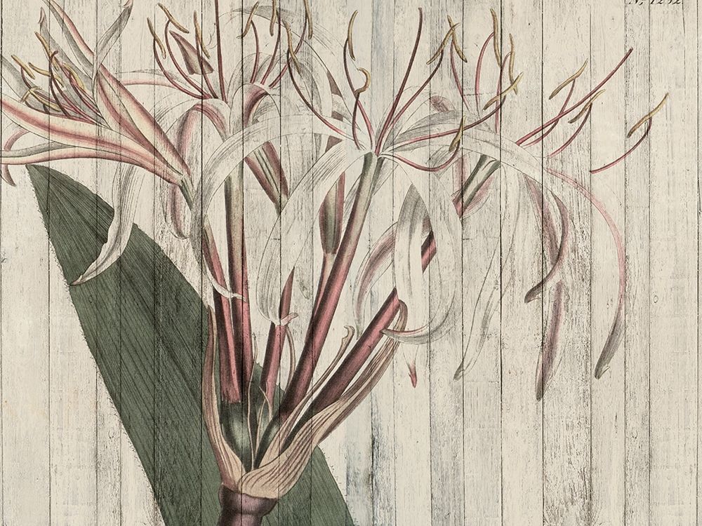 Wall Art Painting id:196948, Name: Rustic Floral I, Artist: Studio W