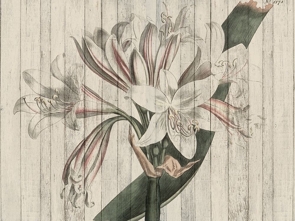 Wall Art Painting id:196949, Name: Rustic Floral II, Artist: Studio W