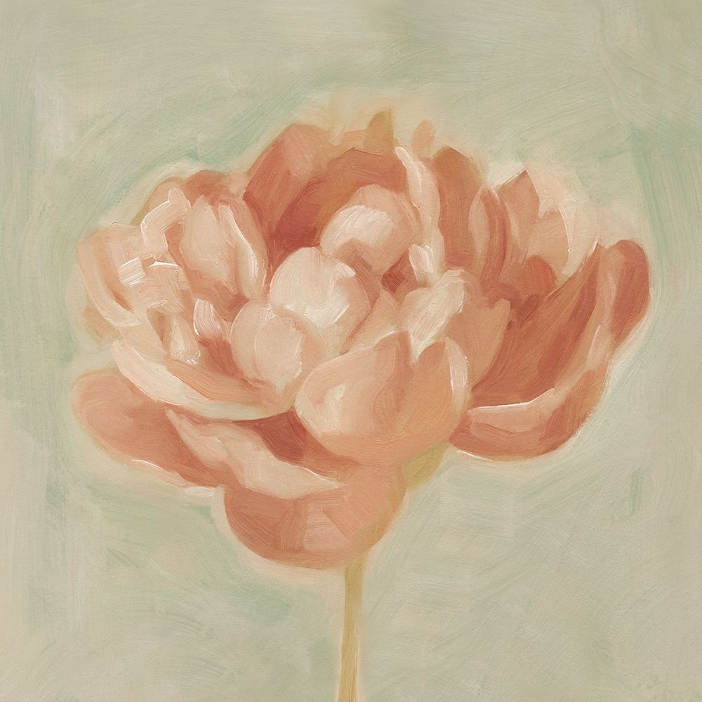 Wall Art Painting id:196980, Name: Spring Peony I, Artist: Scarvey, Emma