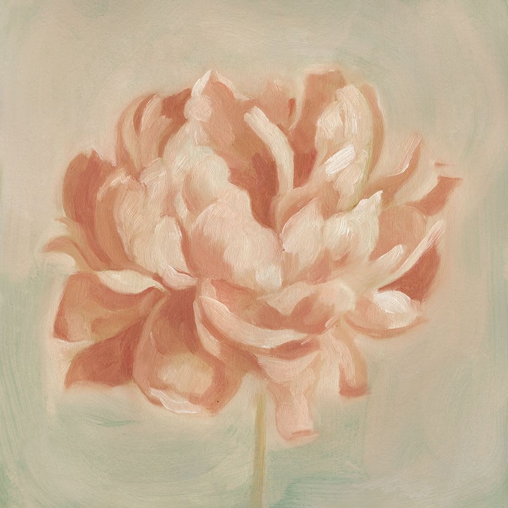 Wall Art Painting id:196981, Name: Spring Peony II, Artist: Scarvey, Emma