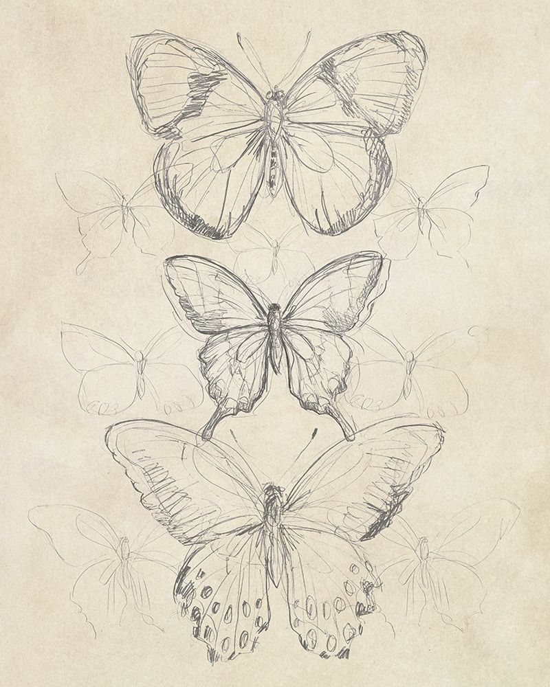 Wall Art Painting id:193427, Name: Vintage Butterfly Sketch I, Artist: Vess, June Erica