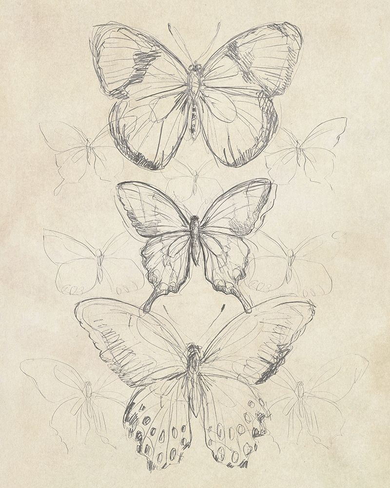 Art Print: Vintage Butterfly Sketch I