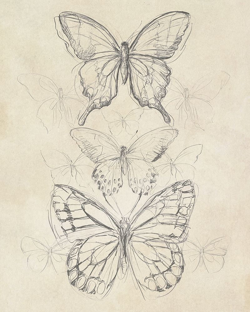 Art Print: Vintage Butterfly Sketch II