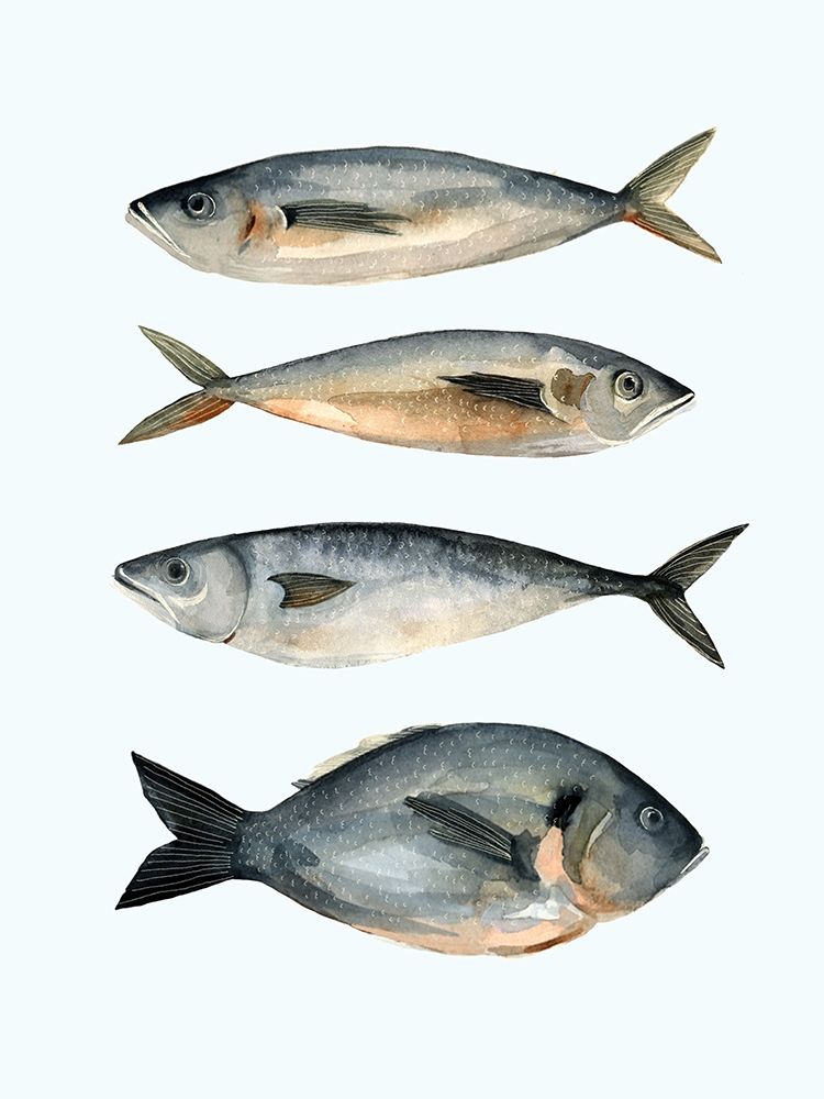 Art Print: Four Fish I
