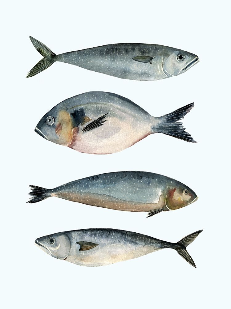 Art Print: Four Fish II