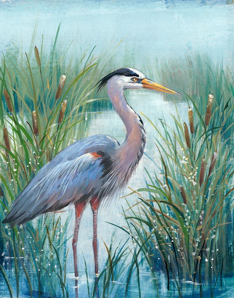 Art Print: Marsh Heron I