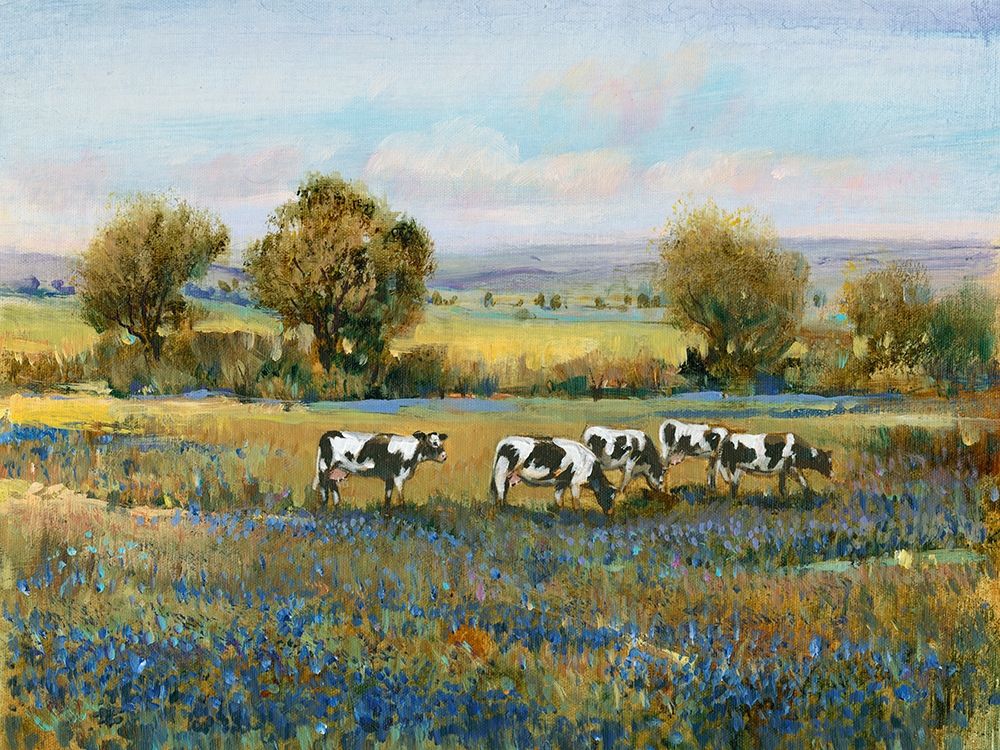 Wall Art Painting id:197283, Name: Field of Cattle I, Artist: OToole, Tim