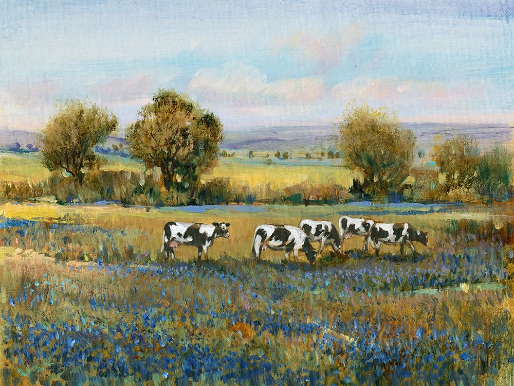 Wall art: Field of Cattle I, by OToole, Tim
