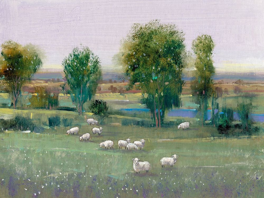 Art Print: Field of Sheep I