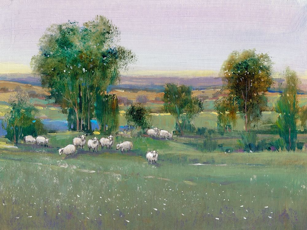 Art Print: Field of Sheep II