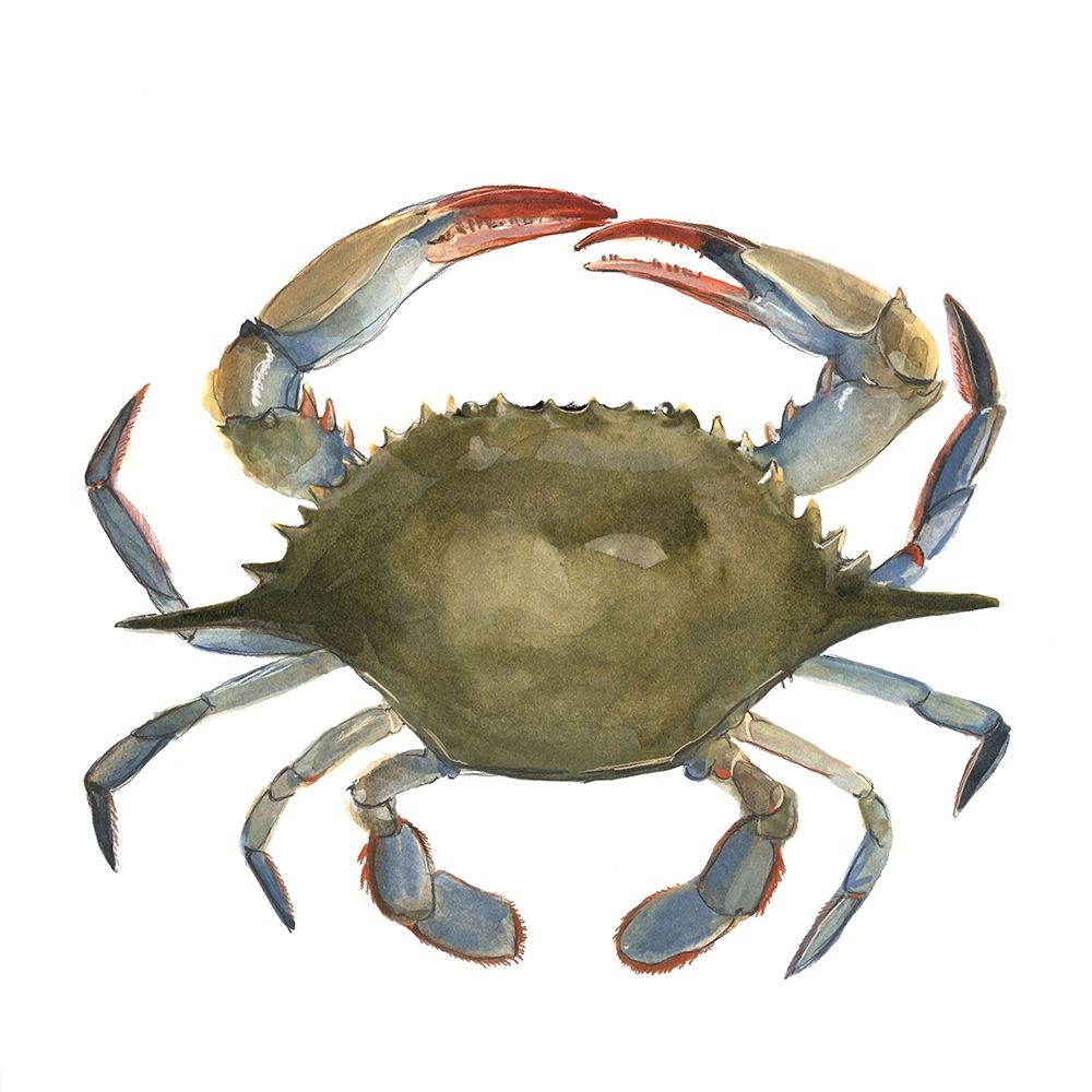 Wall Art Painting id:209240, Name: Watercolor Crab II, Artist: Scarvey, Emma