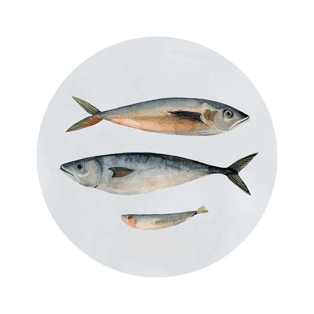 Art Print: Three Fish I