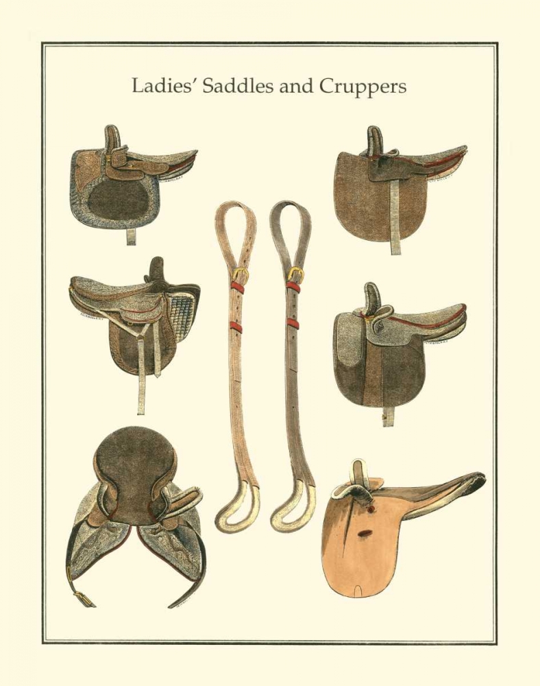 Wall Art Painting id:66474, Name: Ladies Saddles, Artist: Vision Studio