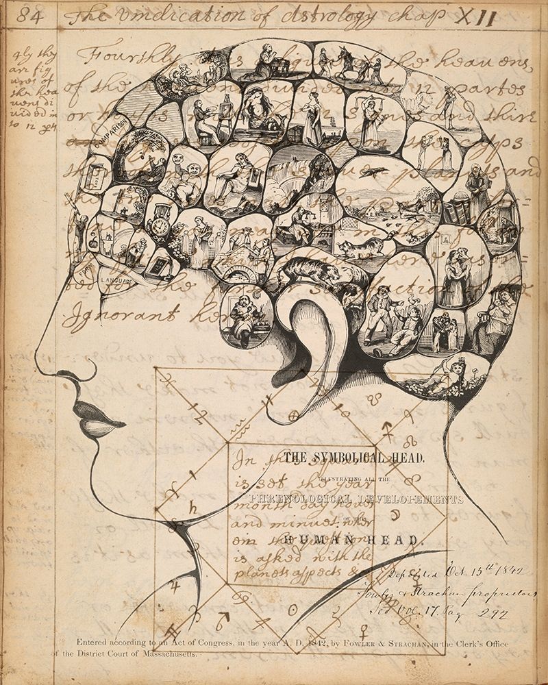 Wall art: Phrenology Bookpage, by Goldberger, Jennifer