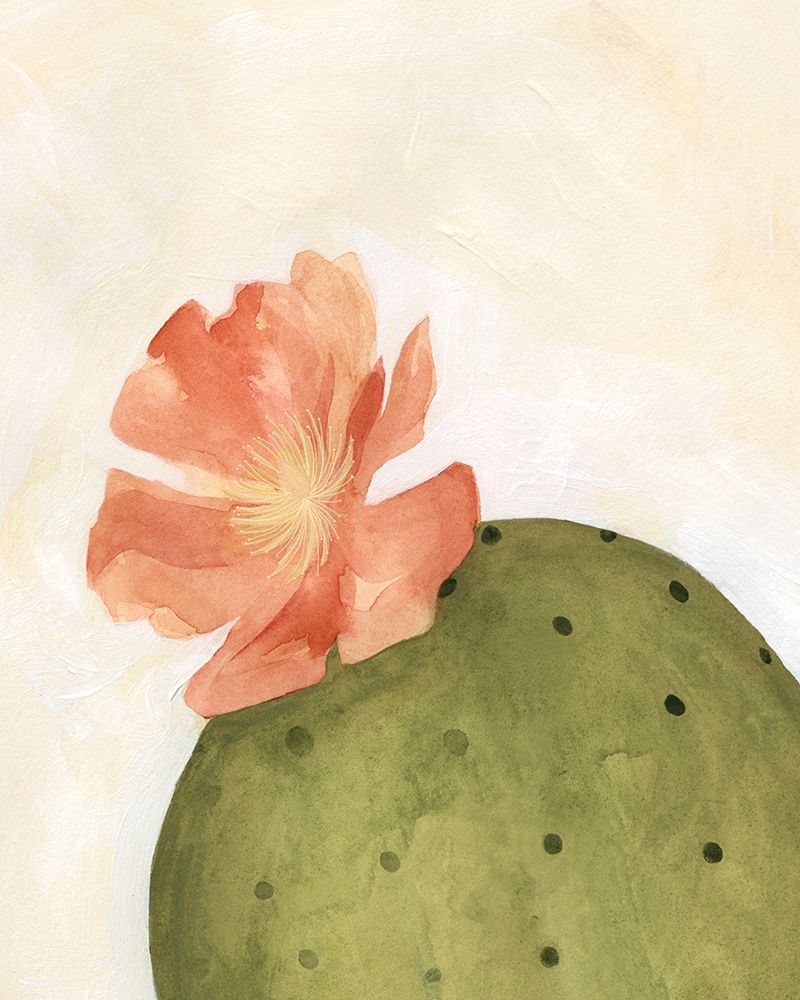 Wall Art Painting id:209510, Name: Arid Bloom I, Artist: Scarvey, Emma