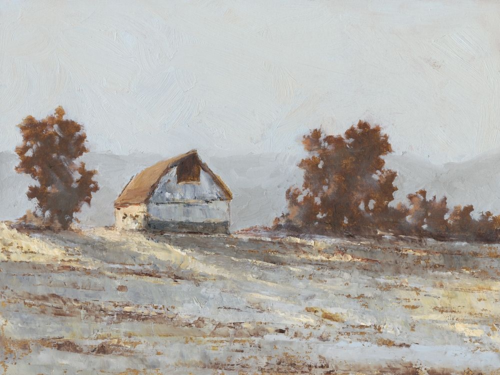 Art Print: Snow Covered Hillside I