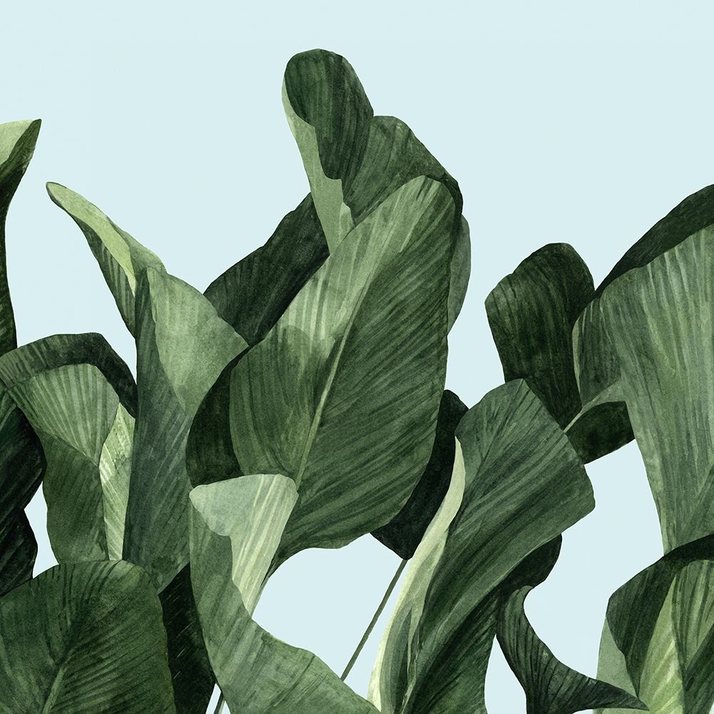 Wall Art Painting id:204668, Name: Celadon Palms II, Artist: Scarvey, Emma