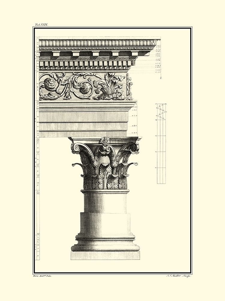Wall Art Painting id:281997, Name: B and W Column and Cornice IV, Artist: Borra, Giovanni