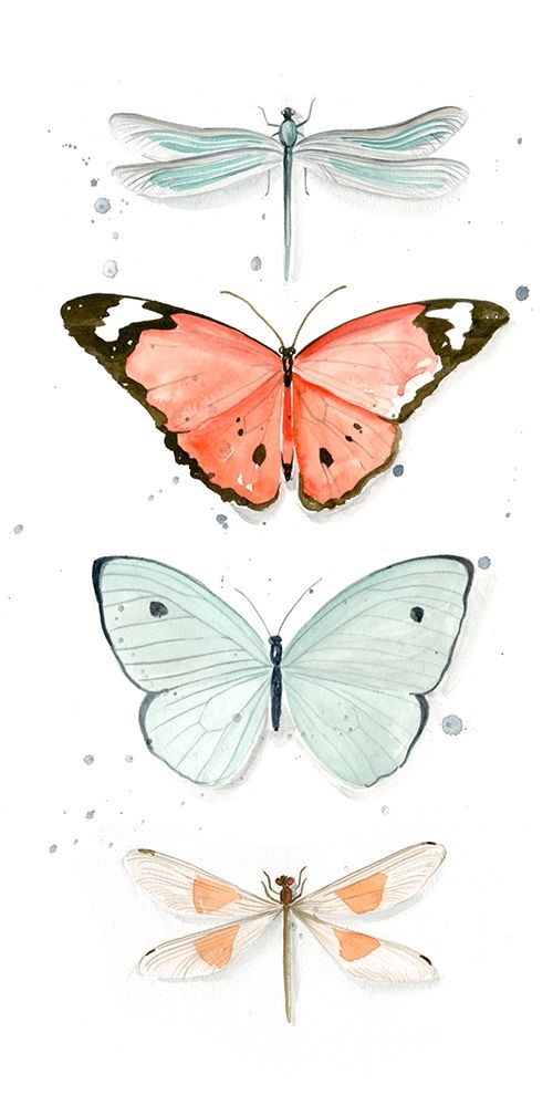 Art Print: Summer Butterflies I