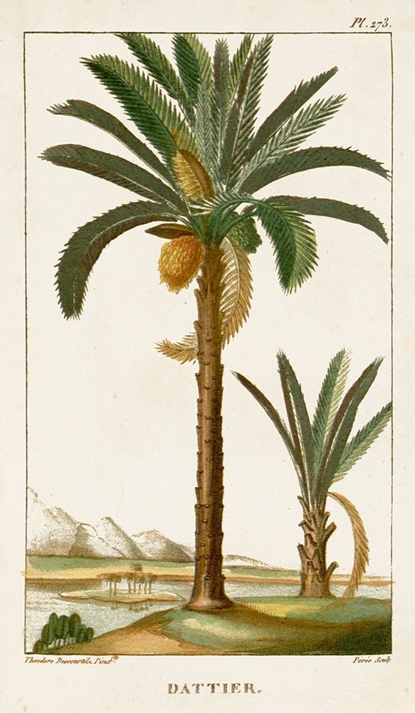 Wall Art Painting id:210027, Name: Turpin Exotic Palms IV, Artist: Turpin