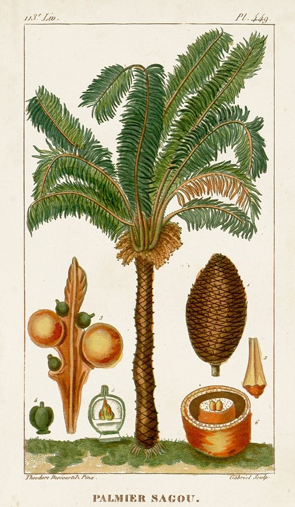 Wall Art Painting id:210030, Name: Turpin Exotic Palms VII, Artist: Turpin