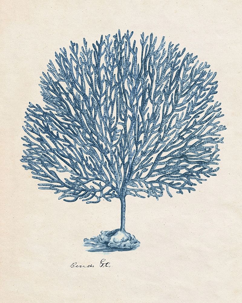 Wall Art Painting id:210068, Name: Sea Coral Study III, Artist: Wang, Melissa