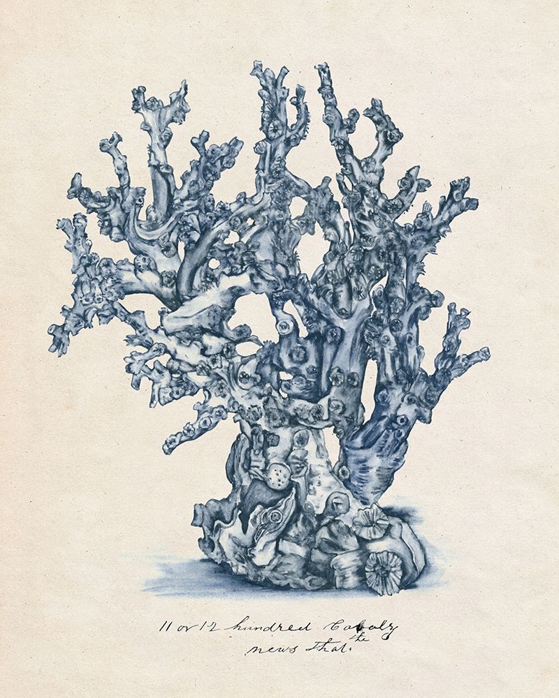 Wall Art Painting id:210069, Name: Sea Coral Study IV, Artist: Wang, Melissa