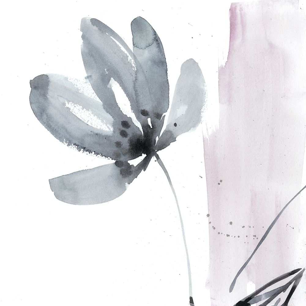 Wall art: Blush Flower Splash I, by Goldberger, Jennifer