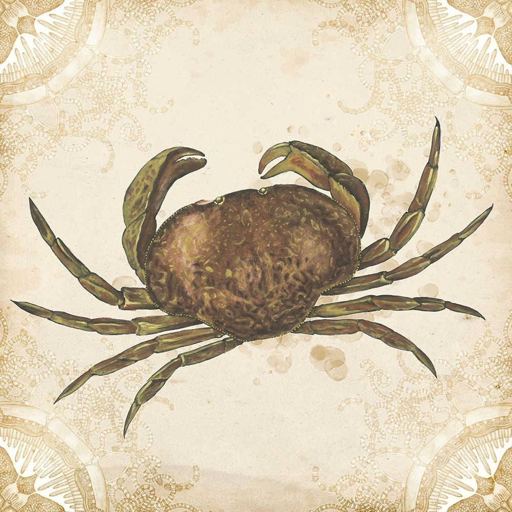 Wall Art Painting id:210171, Name: La Mer Shellfish I, Artist: Wang, Melissa