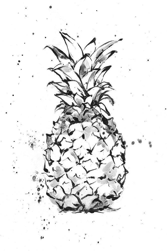 Wall Art Painting id:228164, Name: Pineapple Ink Study II, Artist: Harper, Ethan