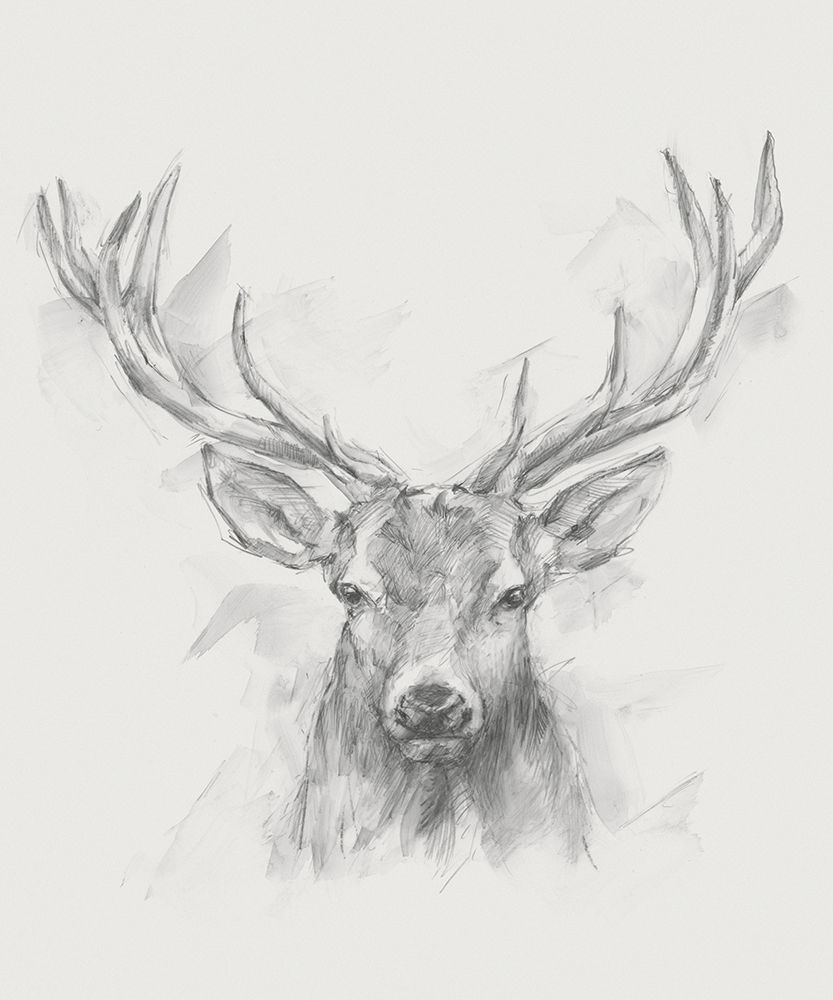 Wall art: Contemporary Elk Sketch I, by Harper, Ethan