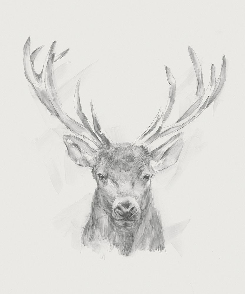 Wall art: Contemporary Elk Sketch II, by Harper, Ethan