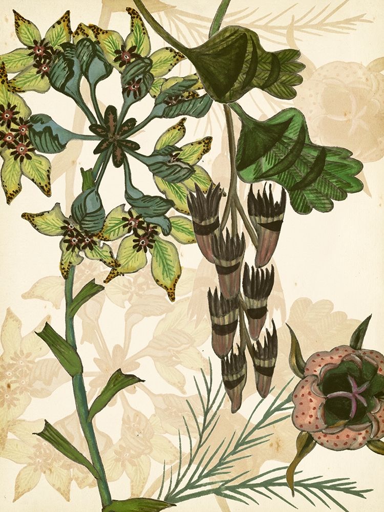 Wall art: Enchanted II, by Wang, Melissa